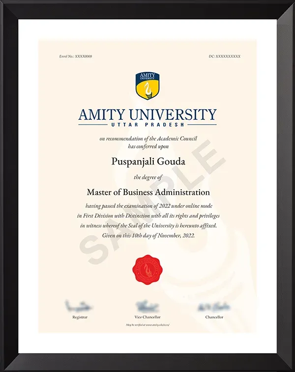 Amity Online Degree